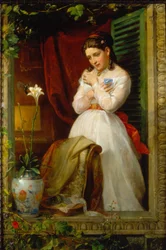 The Love of the Humming Bird